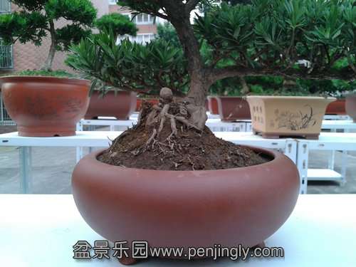 2013-07-21 18.06.03.jpg