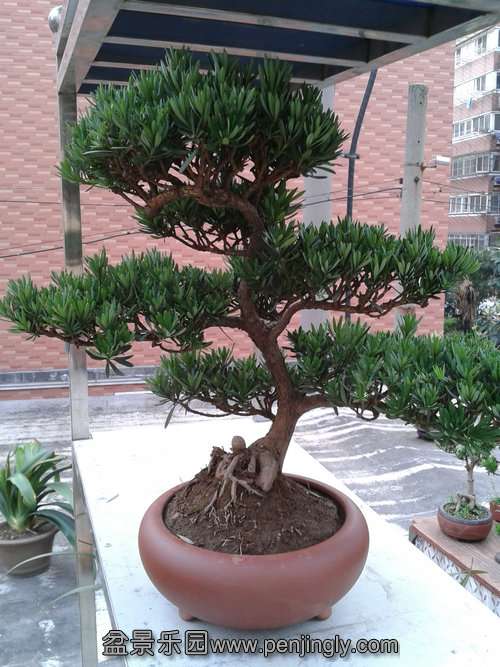 2013-07-21 17.27.44.jpg