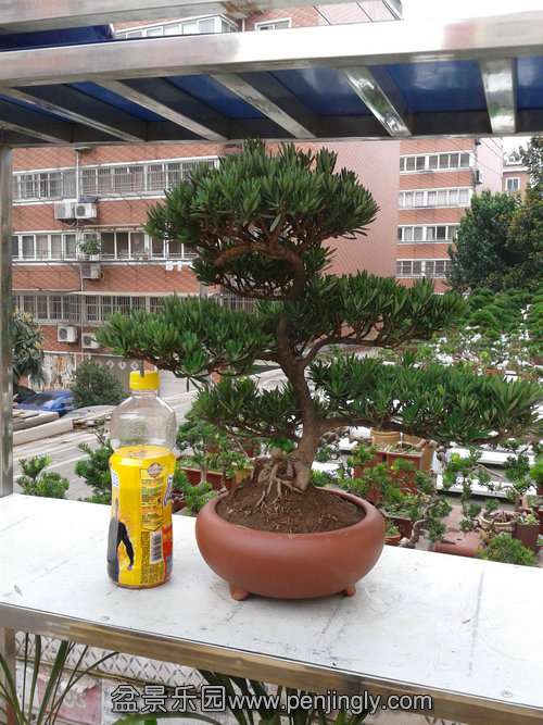 2013-07-21 17.29.10.jpg