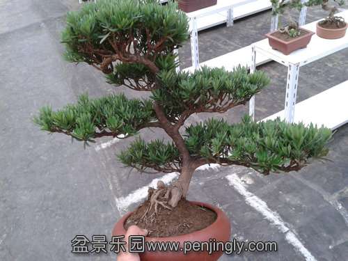 2013-07-21 17.35.11.jpg