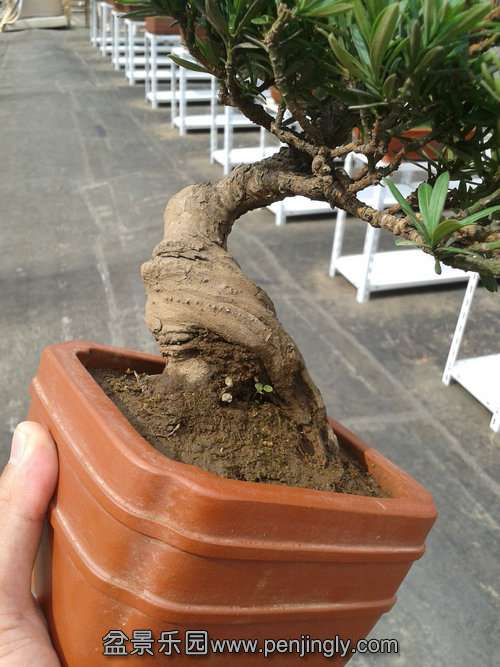 2013-07-21 14.56.56.jpg