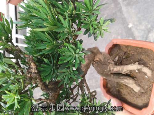 2013-07-21 14.57.19.jpg