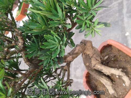 2013-07-21 14.57.52.jpg