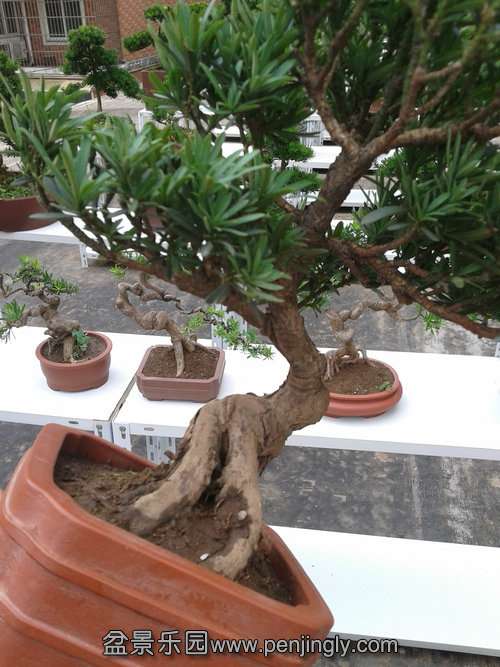 2013-07-21 14.59.01.jpg