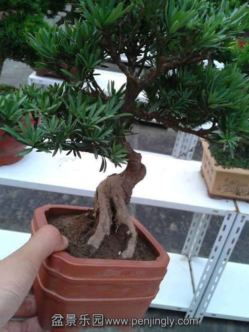 2013-07-21 18.09.55.jpg