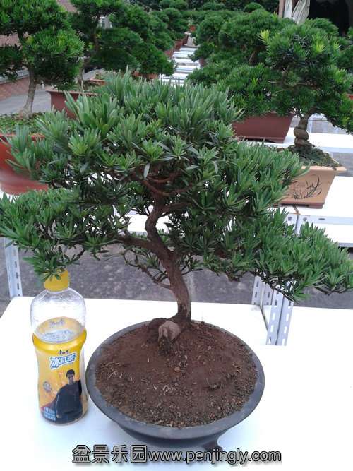 2013-07-21 18.14.18.jpg