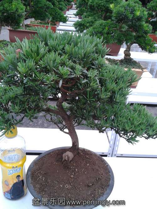 2013-07-21 18.15.12.jpg