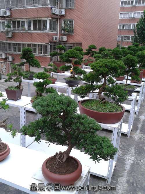 2013-07-21 18.17.25.jpg