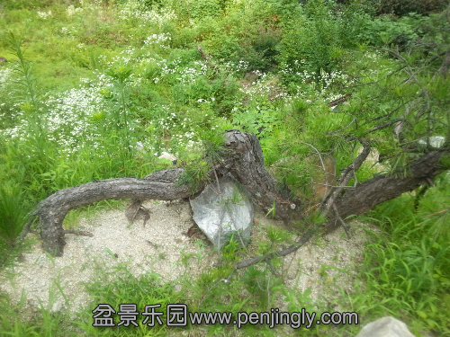 20130621_162524.jpg