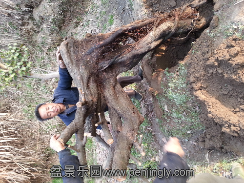 20130308_074546.jpg