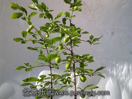 20130723666.jpg