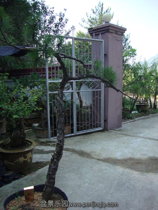 DSC01305_.jpg