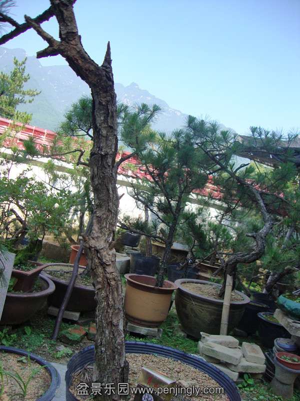 DSC01307_.jpg