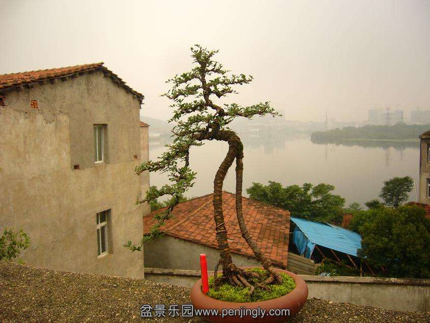 P1210572.JPG