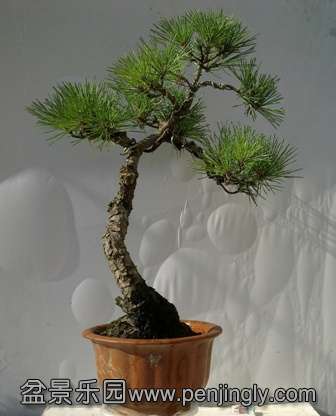 20130724701.jpg