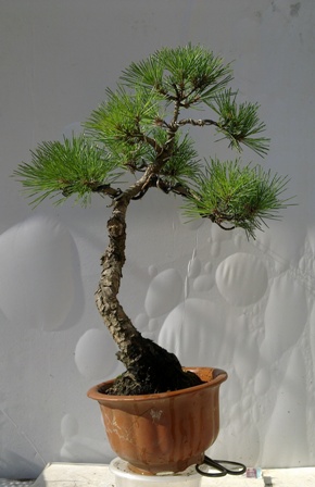 20130724702.jpg