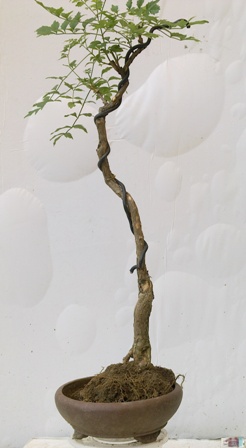 20130724690.jpg