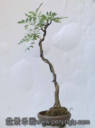 20130724691.jpg