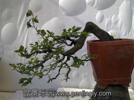 20130724694.jpg