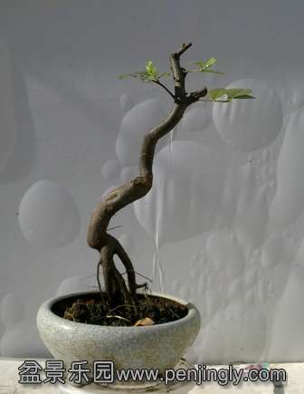 20130724703.jpg