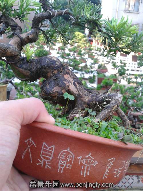 2013-07-23 17.54.46.jpg