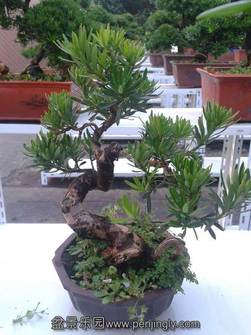 2013-07-23 18.41.42.jpg