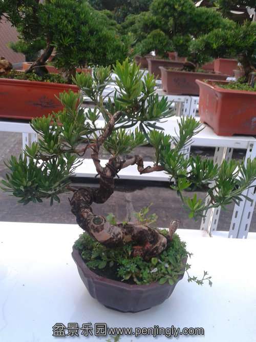 2013-07-23 18.43.57.jpg