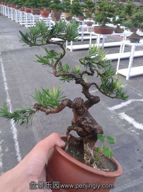 2013-07-23 18.13.24.jpg