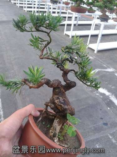 2013-07-23 18.14.06.jpg