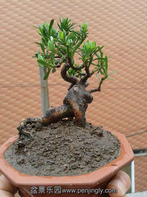 2013-05-17 13.15.53.jpg
