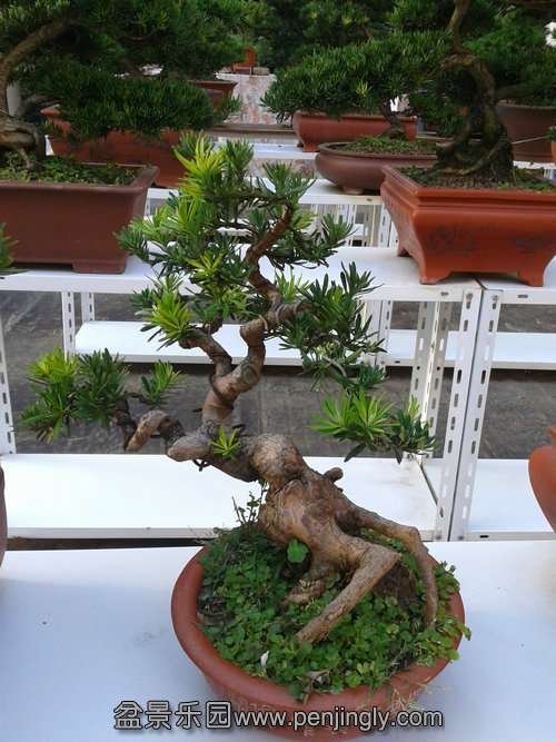 2013-07-23 17.44.21.jpg