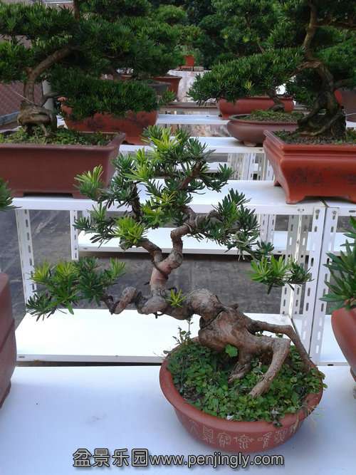 2013-07-23 17.48.10.jpg