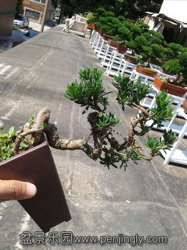2013-07-19 14.11.47.jpg