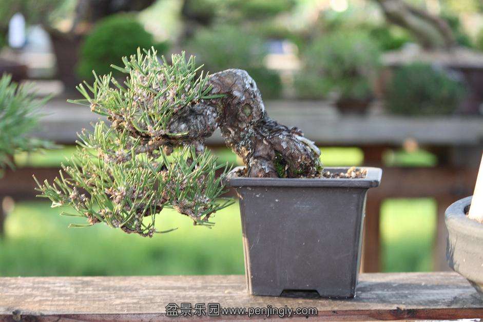Ƭ 016.jpg