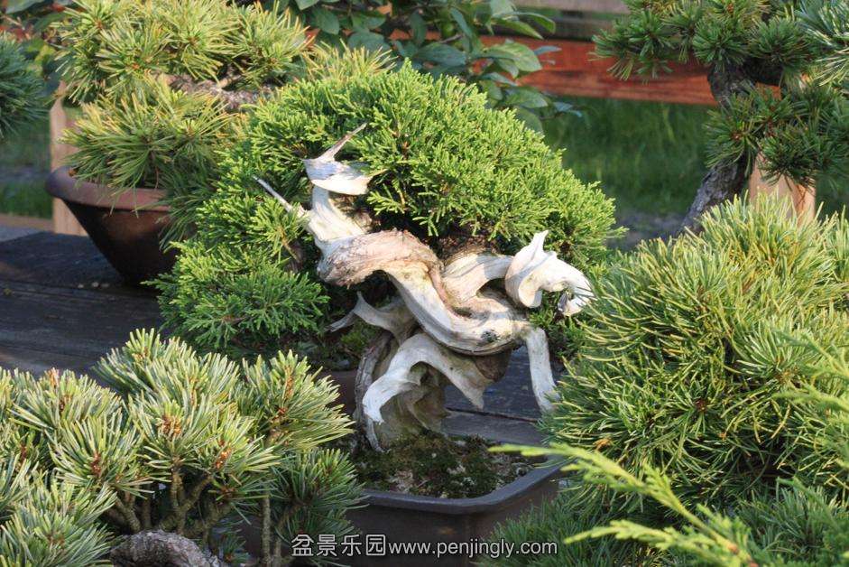 Ƭ 019.jpg
