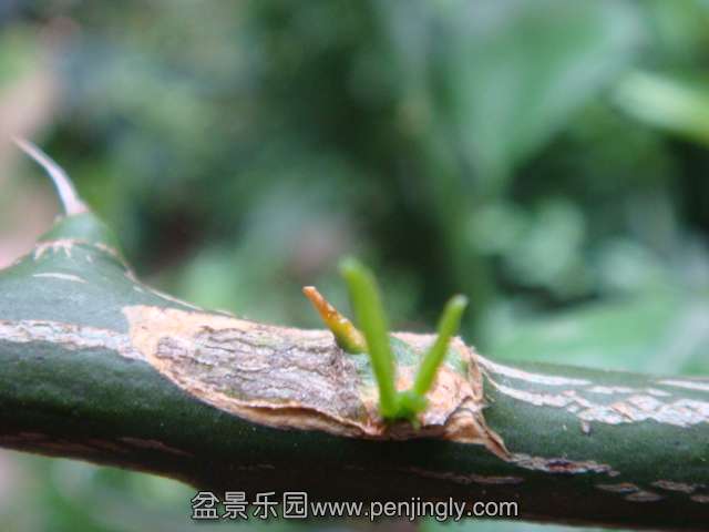 DSC08682.JPG