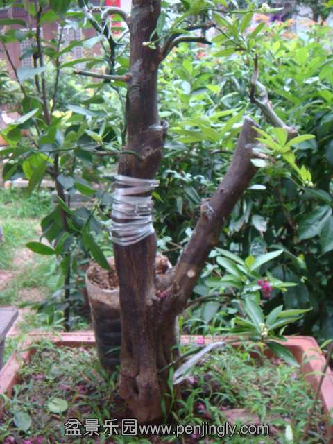 DSC08686.JPG