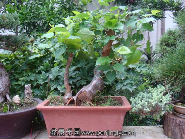 DSC08690.JPG