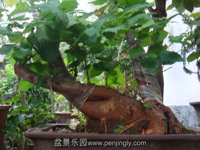 DSC08697.JPG