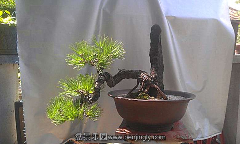 IMAG2367_.jpg