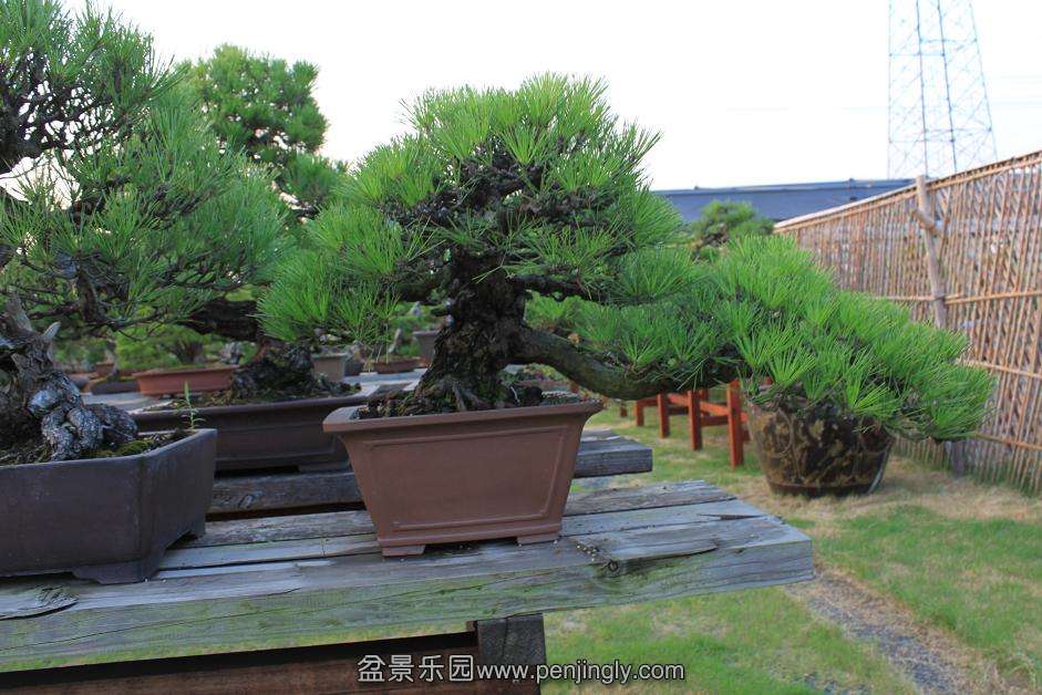 Ƭ 023.jpg