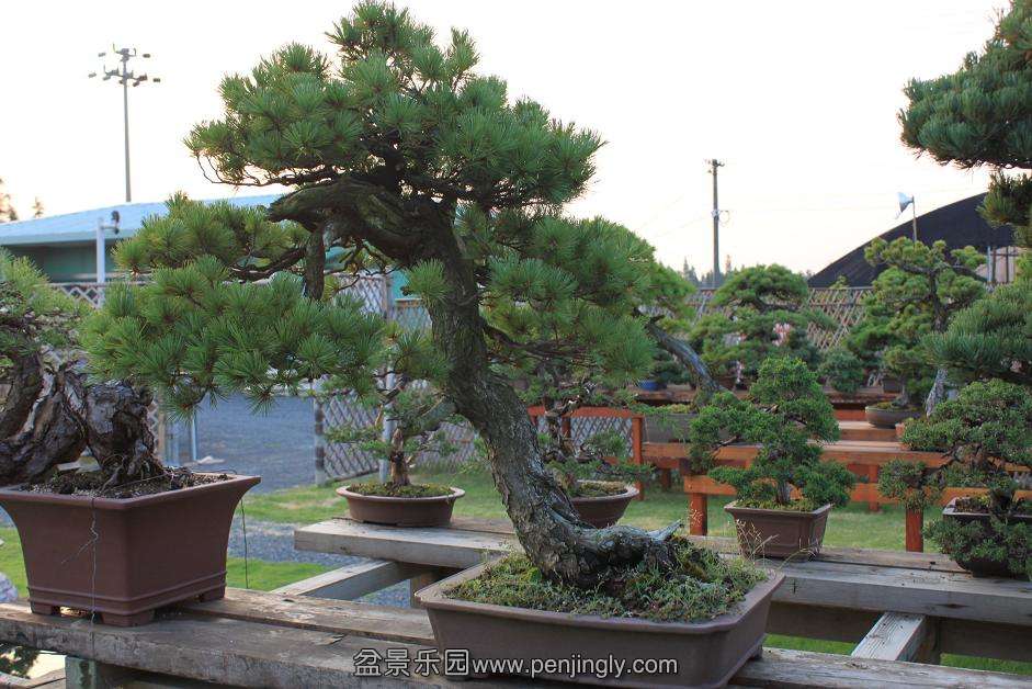 Ƭ 026.jpg