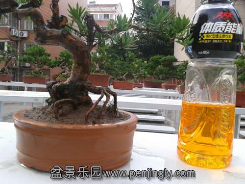 2013-07-25 18.11.46.jpg