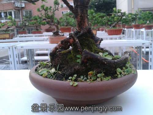 2013-07-25 18.18.37.jpg