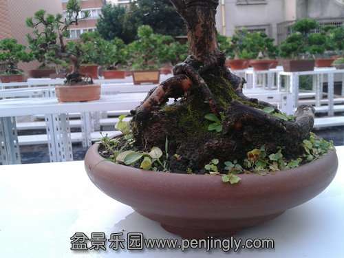 2013-07-25 18.18.51.jpg