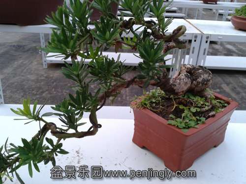 2013-07-25 18.36.23.jpg