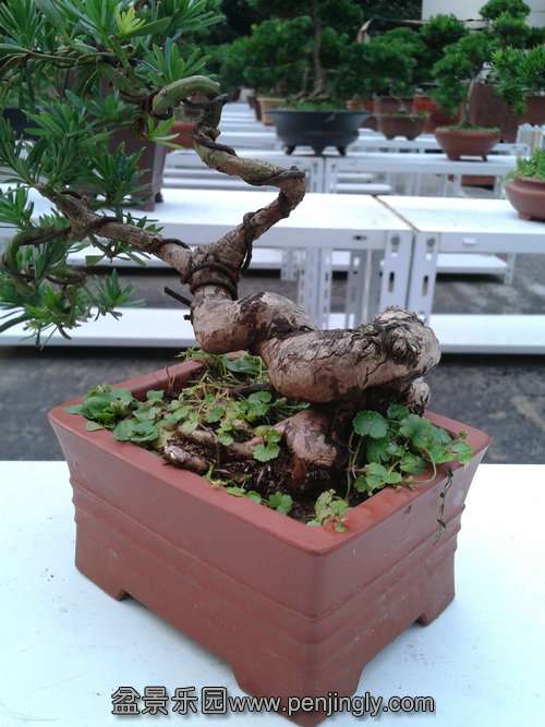 2013-07-25 18.38.41.jpg