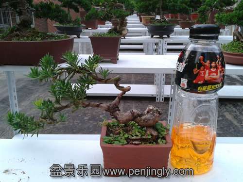 2013-07-25 18.39.29.jpg