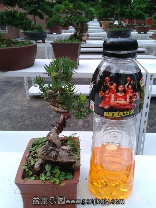 2013-07-25 18.39.57.jpg