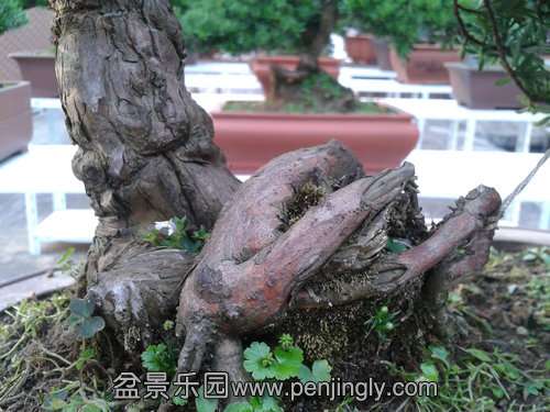 2013-07-25 17.33.24.jpg